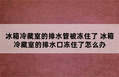 冰箱冷藏室的排水管被冻住了 冰箱冷藏室的排水口冻住了怎么办